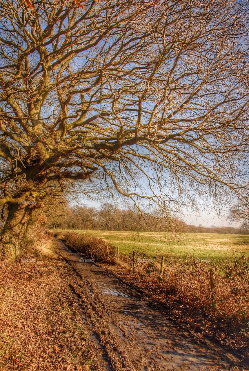 The Well Trodden Path