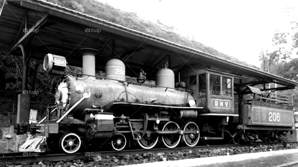 trem