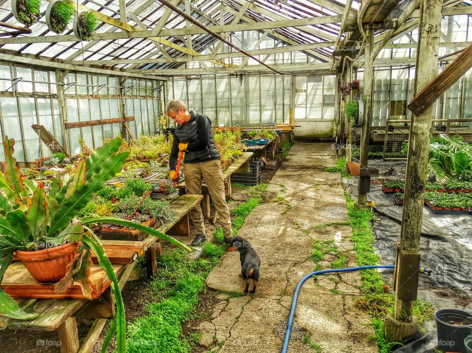 Greenhouse Gardening