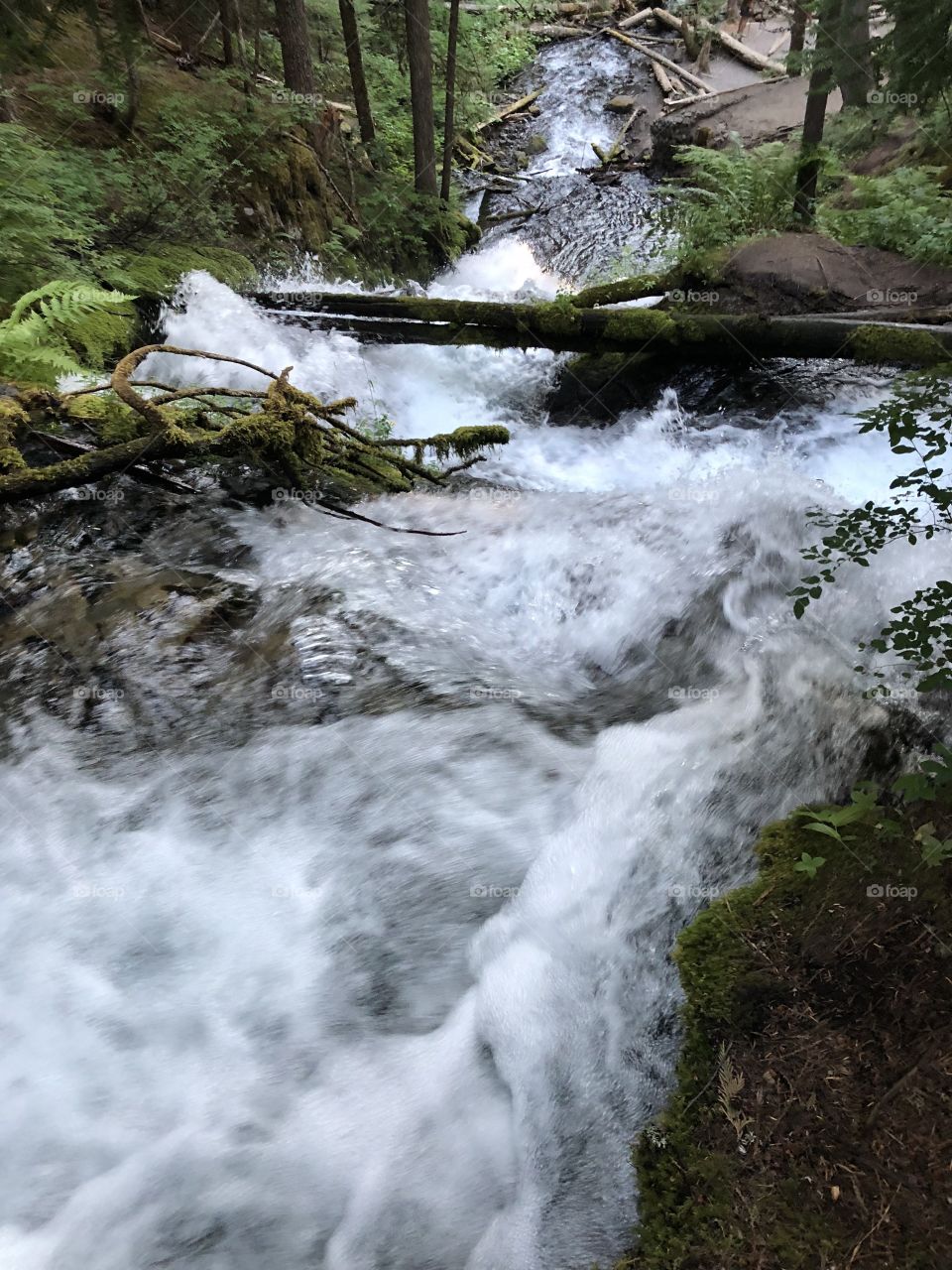 Mount Hood, Oregon 