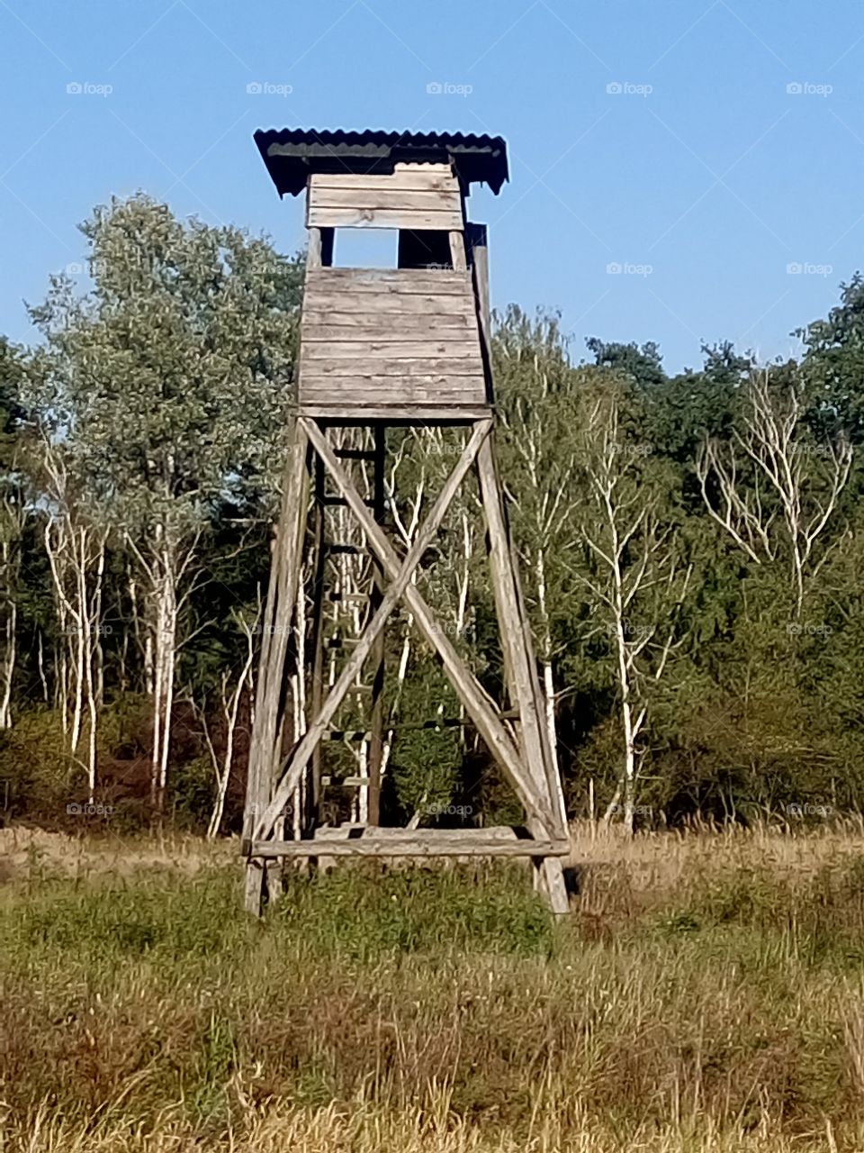 a hunting pulpit