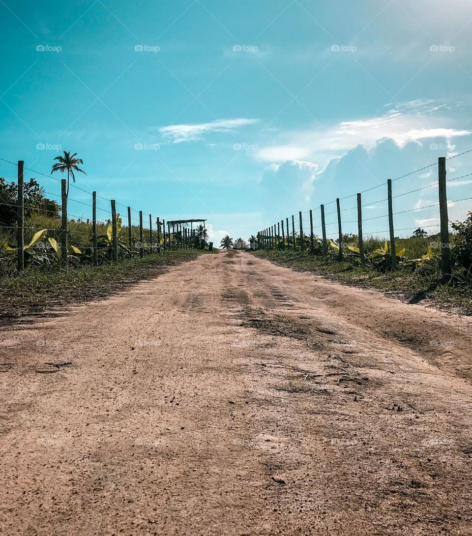 Estrada da japara em cumuruxatiba Bahia Brasil 🇧🇷