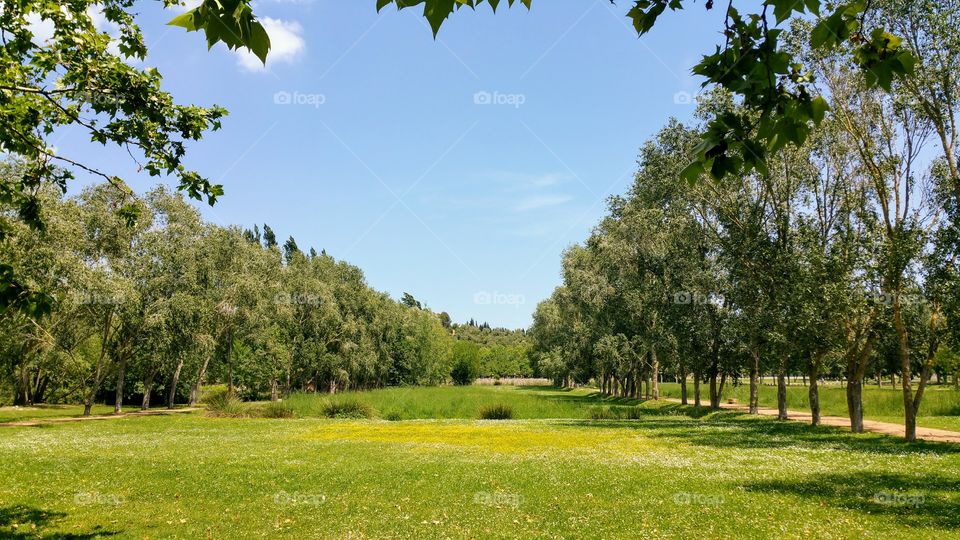 A walk in the park.