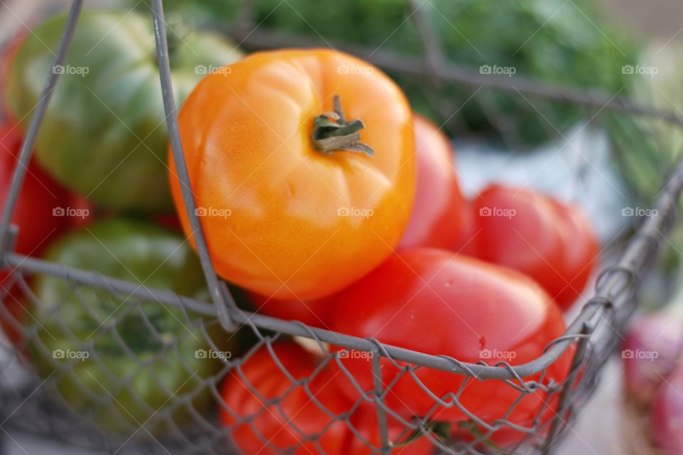 Tomatoes in a basket