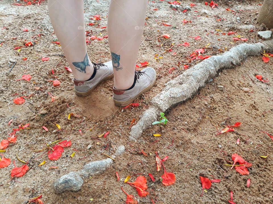 walking with flowers on the floor