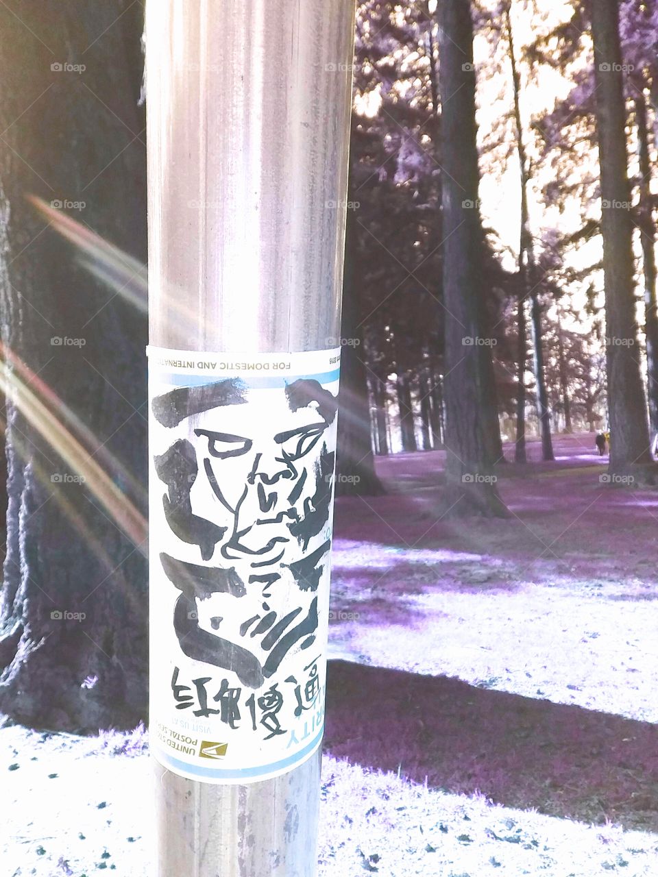 Sticker on a pole in the park