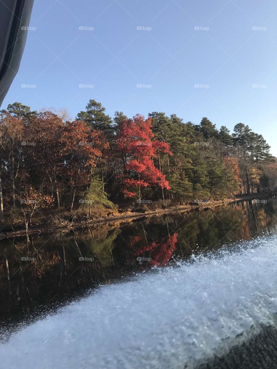 River in the Fall 