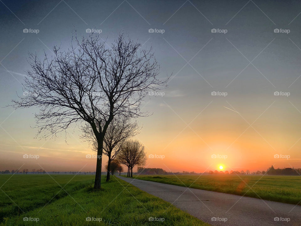 Countryside sunrise behind trees and a road 