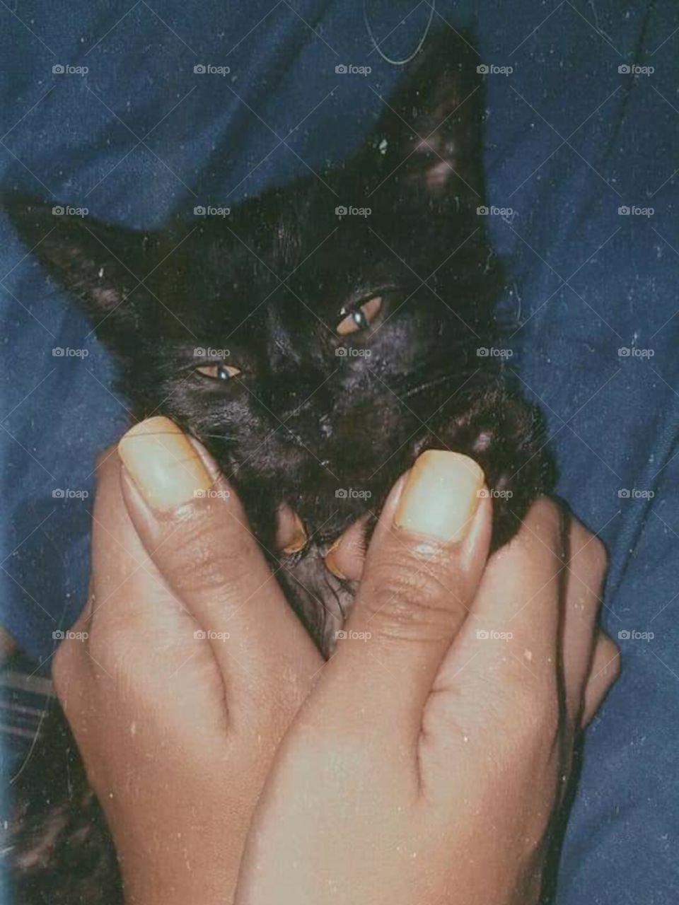Baby Black Panther. Wakanda Foreva! 🤣