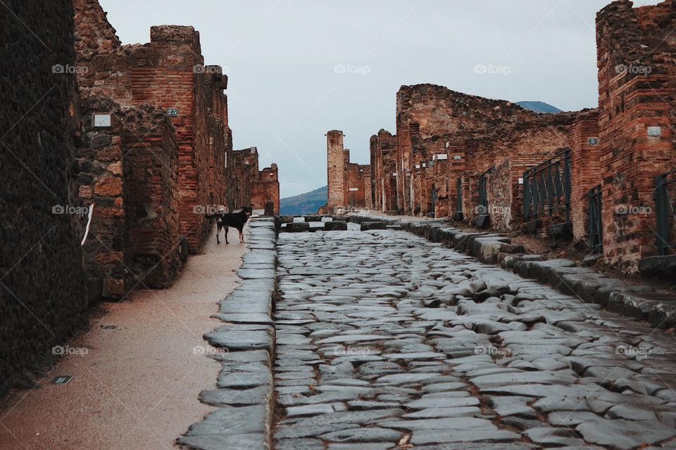 Pompeii 