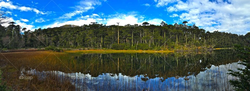 Hiking in southern Chile 