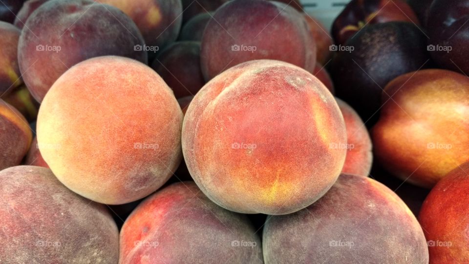 Pêssegos, frutos foscos aveludados, cores de maçãs.
