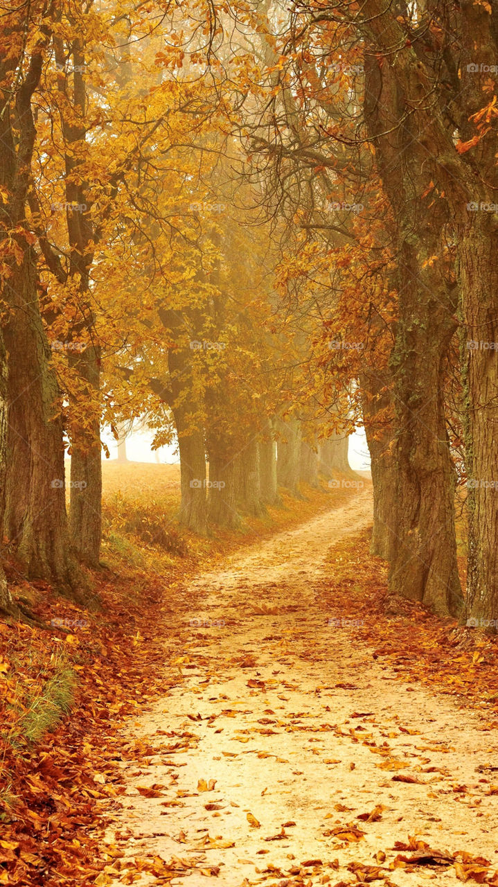 Naturel beauty place