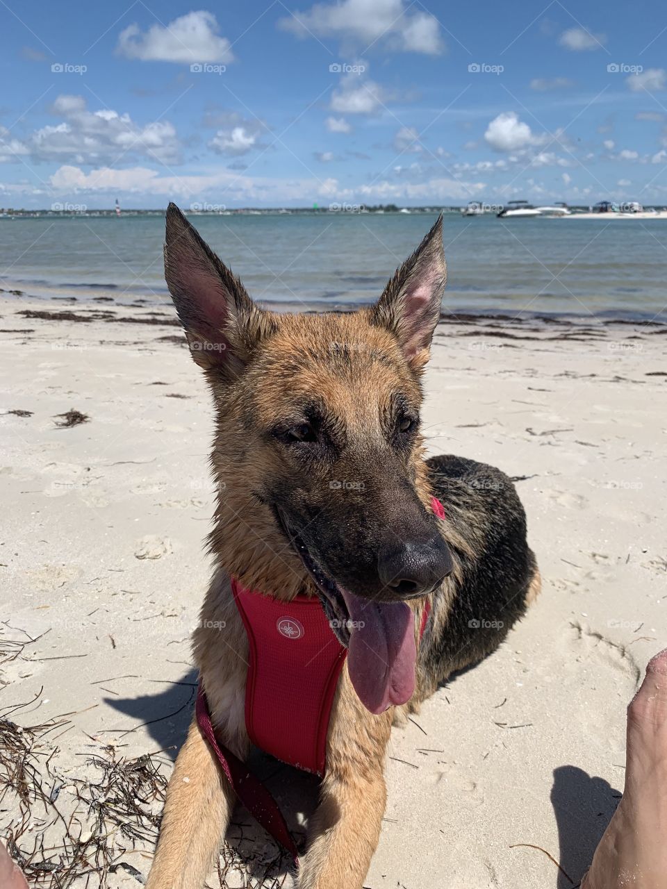 Can’t wait to go jump in the water