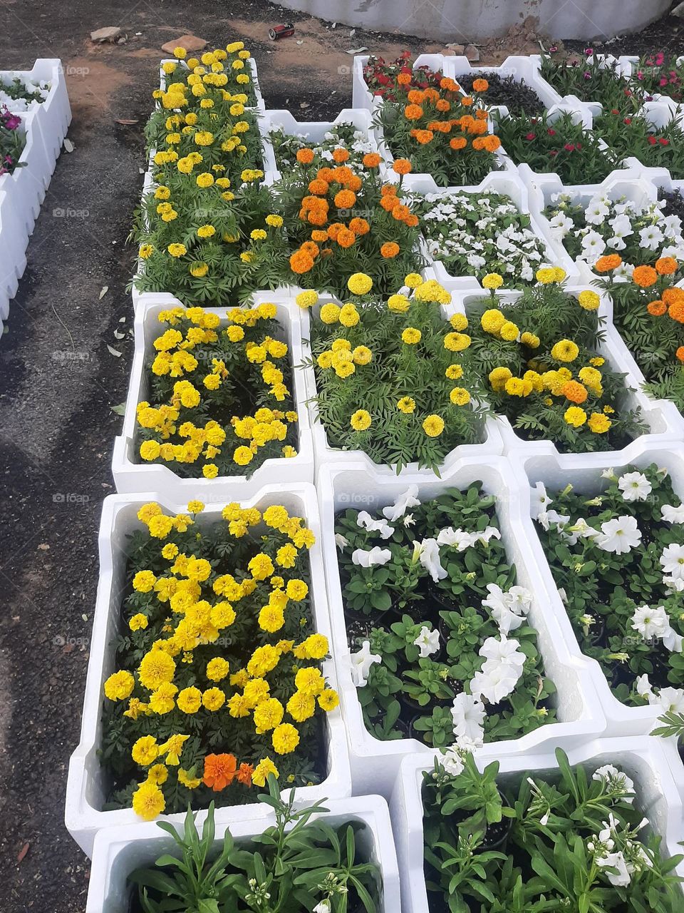 Please make me happy, I am poor, I need your help with support