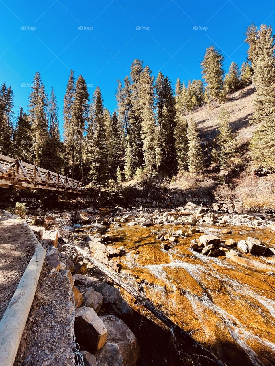 Sunlit stream flowing over rocks against a walking bridge and a pine tree backdrop