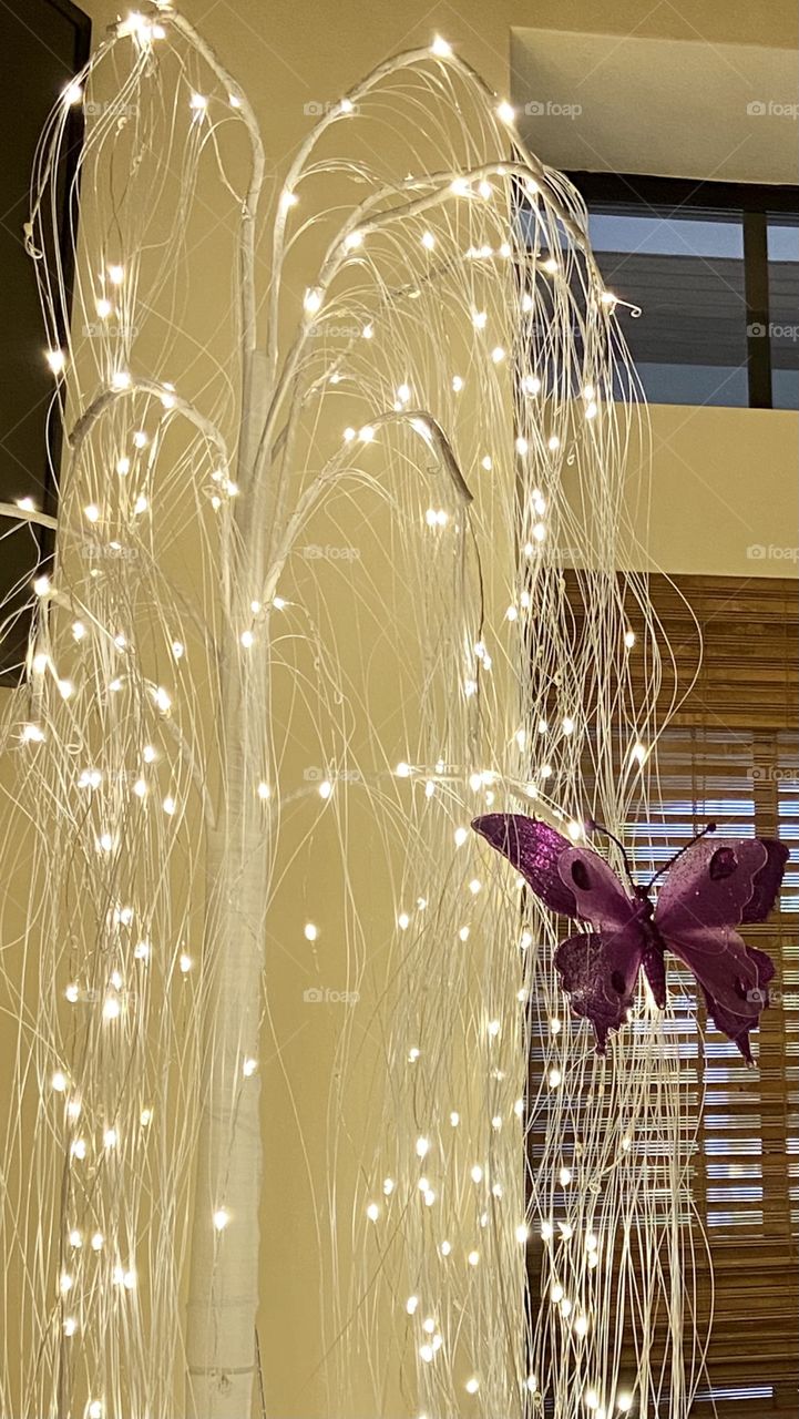 A white willow tree made of soft lights with a large purple butterfly hovering next to it.  