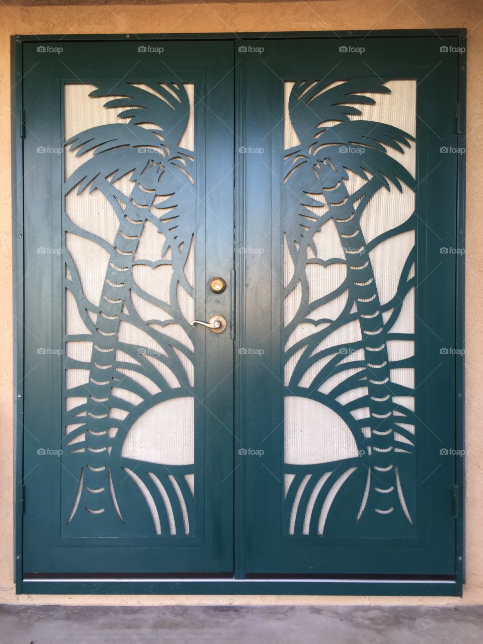Screen door palm trees and sunshine
