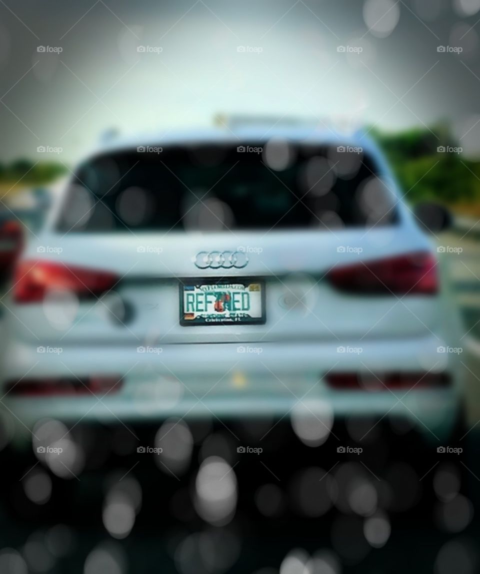 Unique Florida license plate collection REFINED