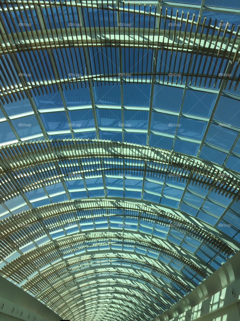 Skylights-symmetry 
