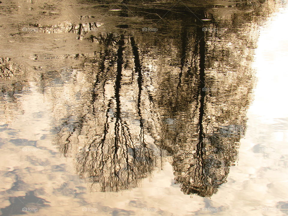 Reflection of bare trees and clouds