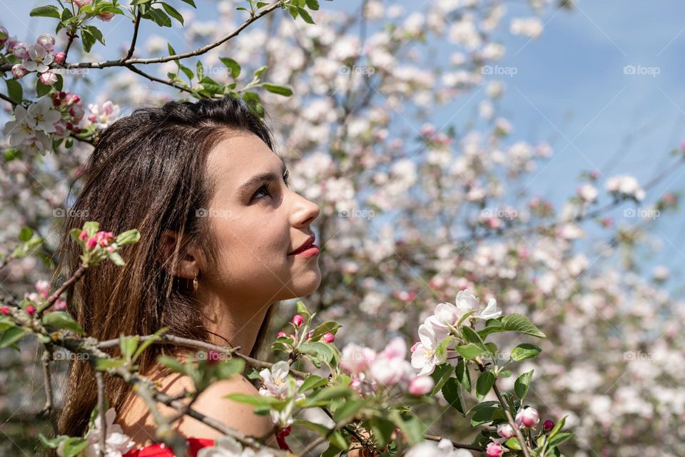 beautiful woman in spring blossom trees