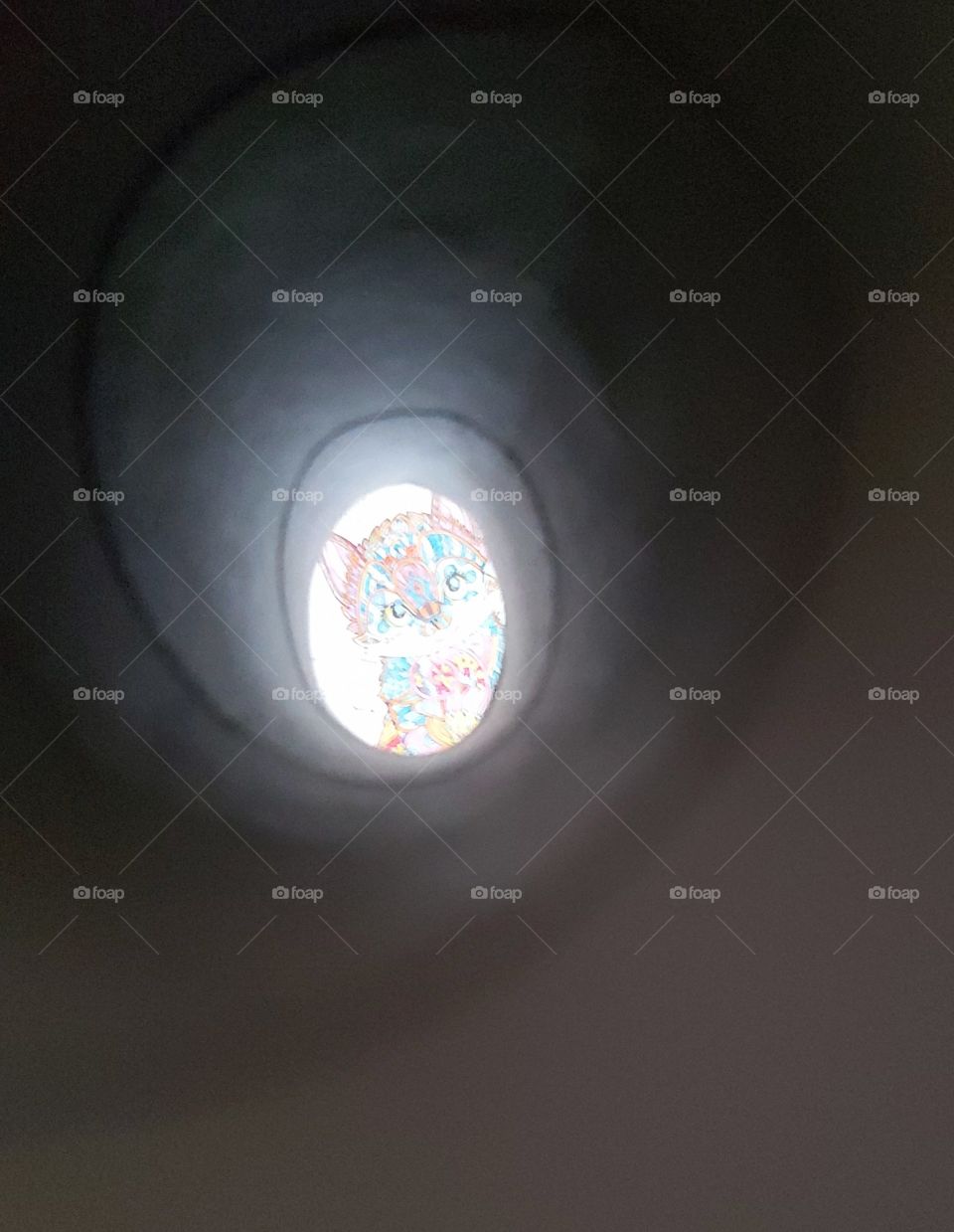 Dessin d'un chat vue dans un rouleau