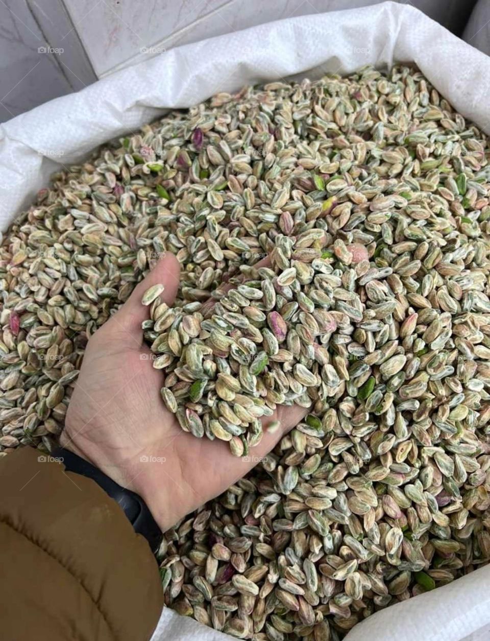 Pistachios in Syria