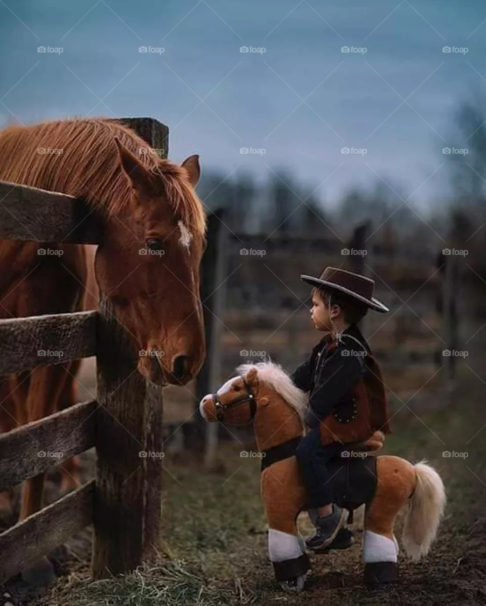 horse friends