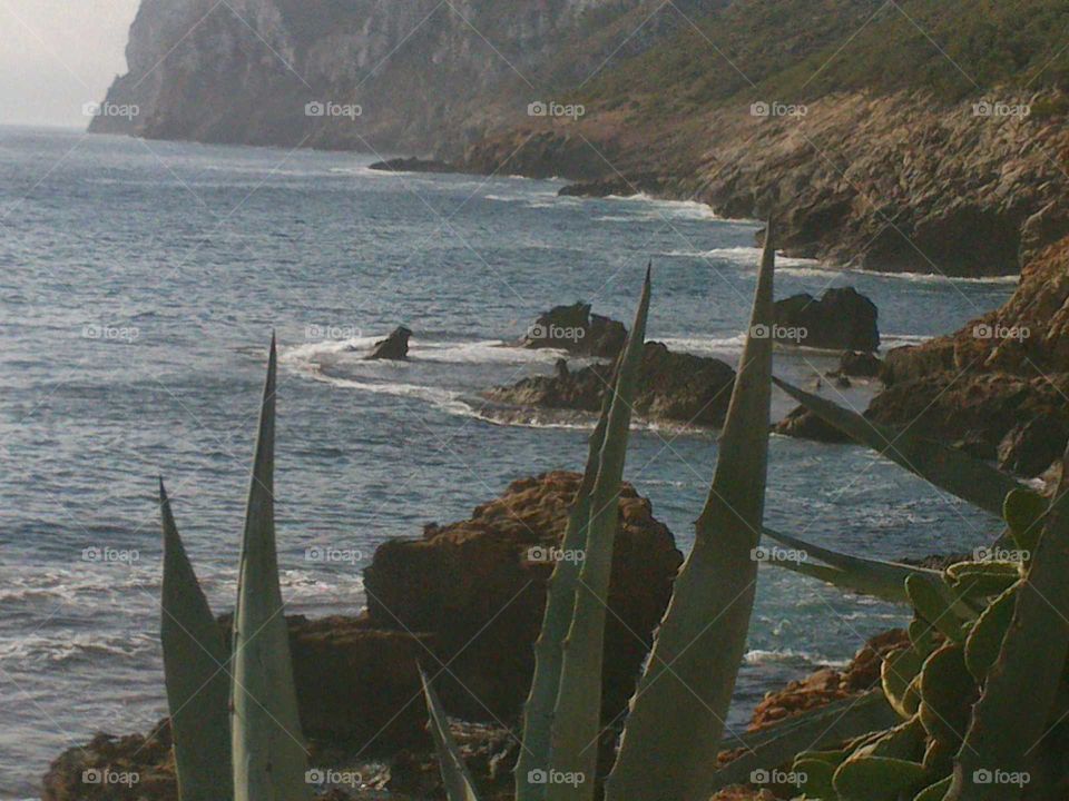 La Rota , Denia