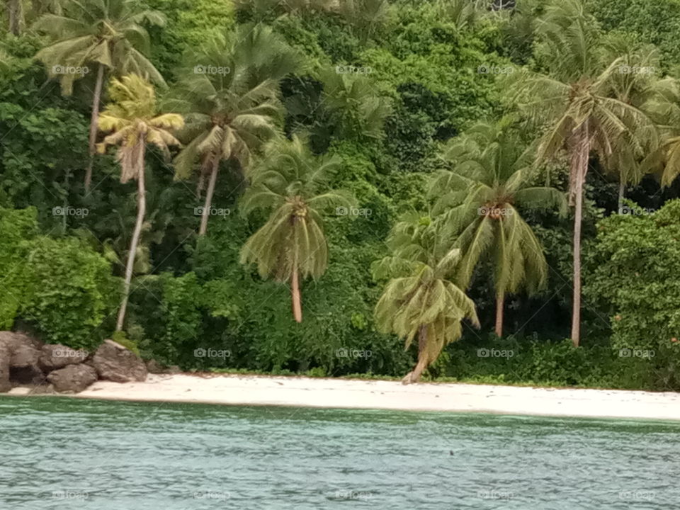 virgin island, limasawa, leyte, philippines