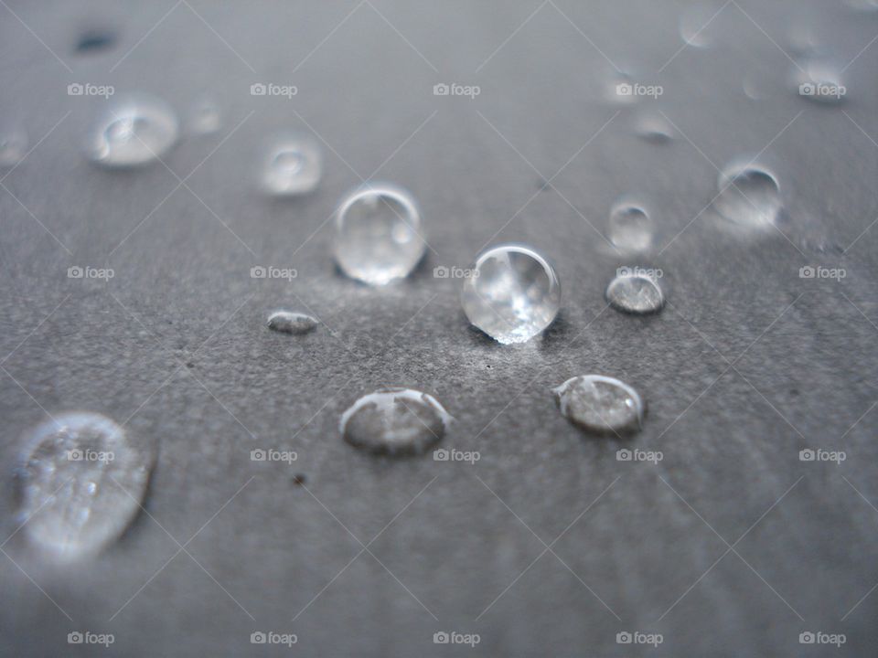 Water Drops 