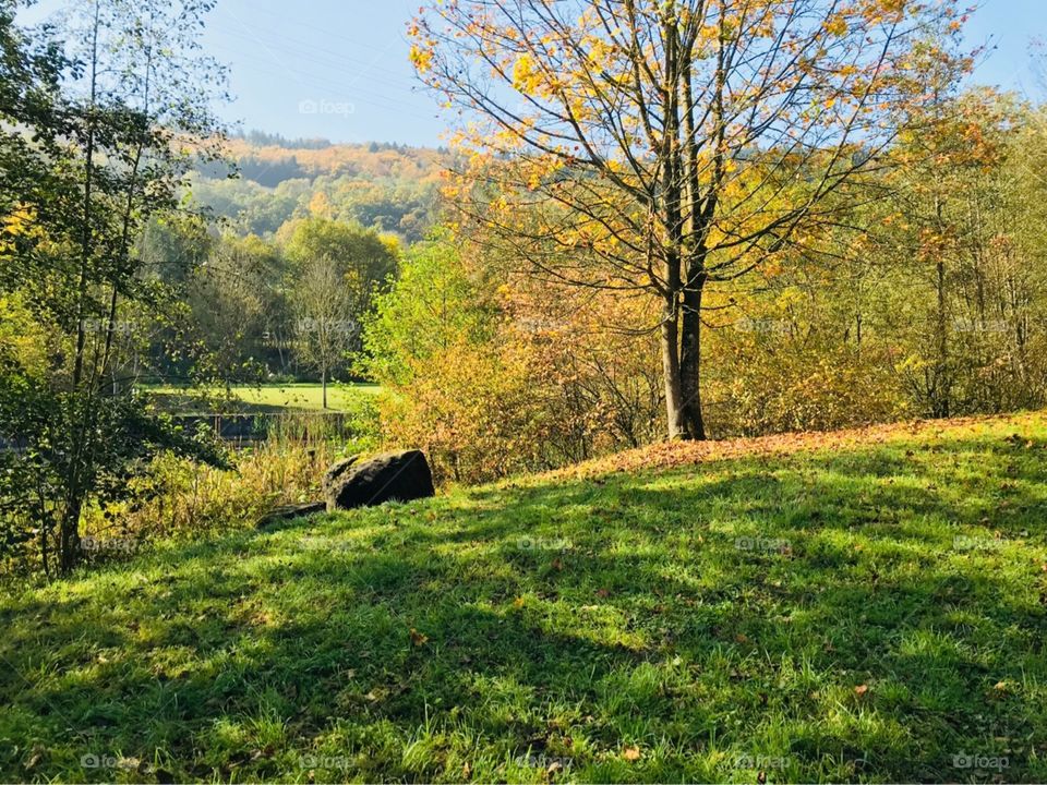 Summer colors on the parc