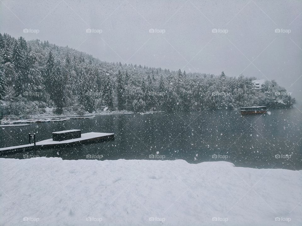 View of snowfall over the river and snow-covered Christmas trees in winter