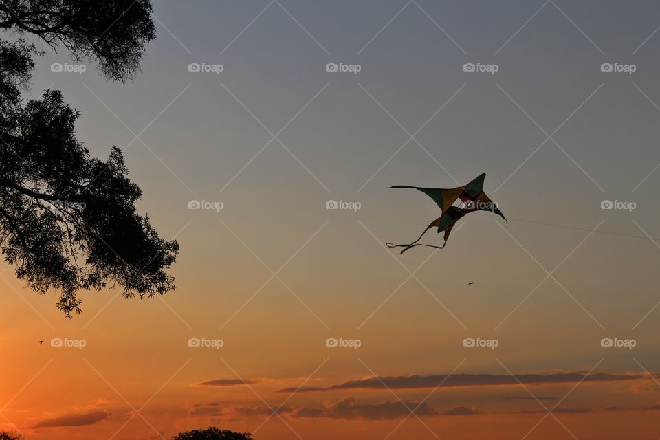 kite on the sunset