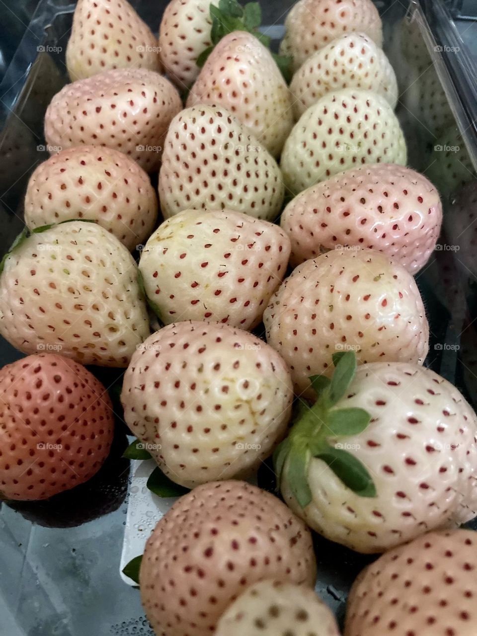 White strawberries know as pine berries 