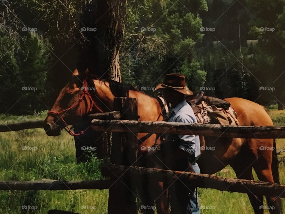 A wrangler and his horse