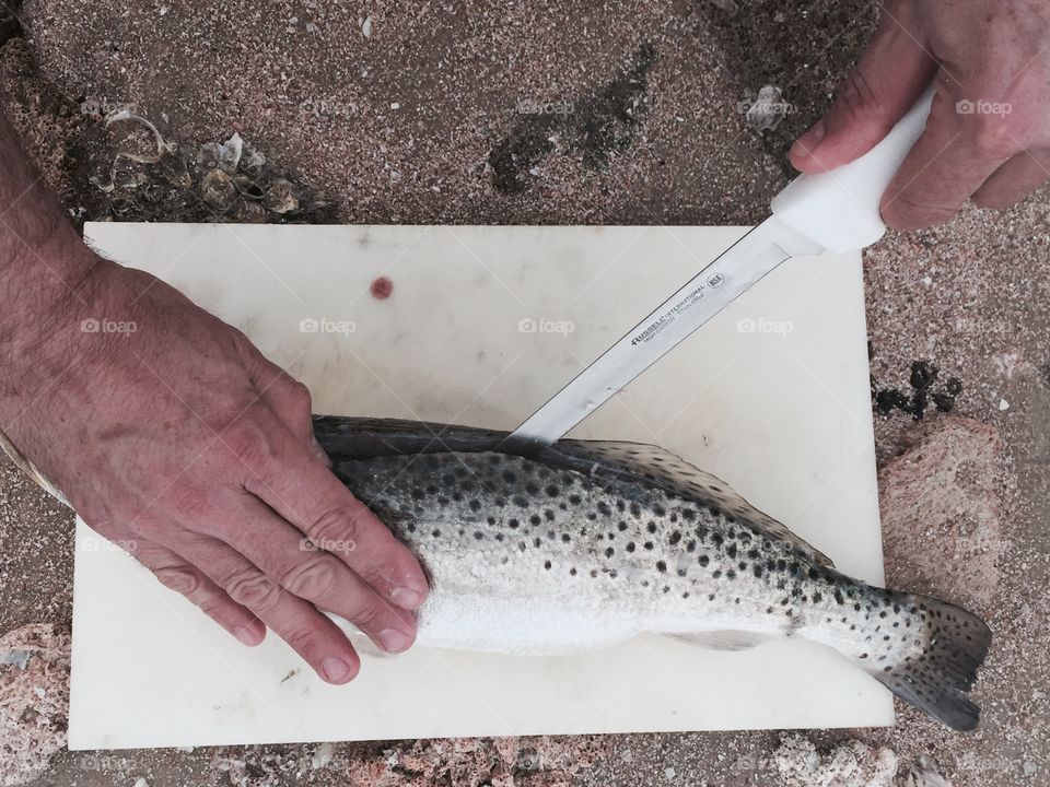 Filleting a fresh caught trout 