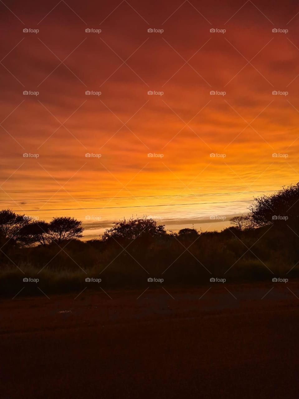 Bushveld Sunrise - African Sunrise in the heart of the Bushveld