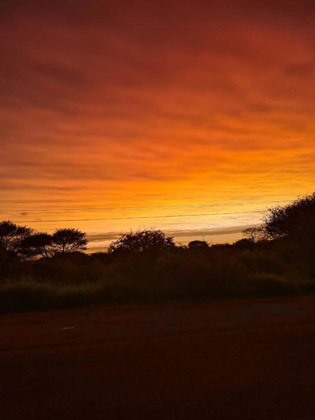 Bushveld Sunrise - African Sunrise in the heart of the Bushveld
