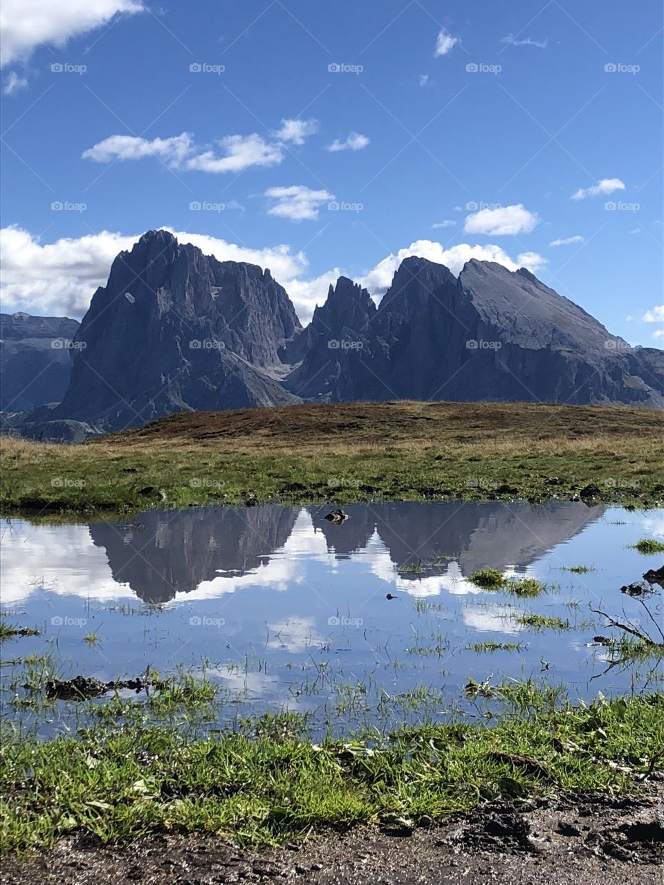 Mountains reflected in a puddle