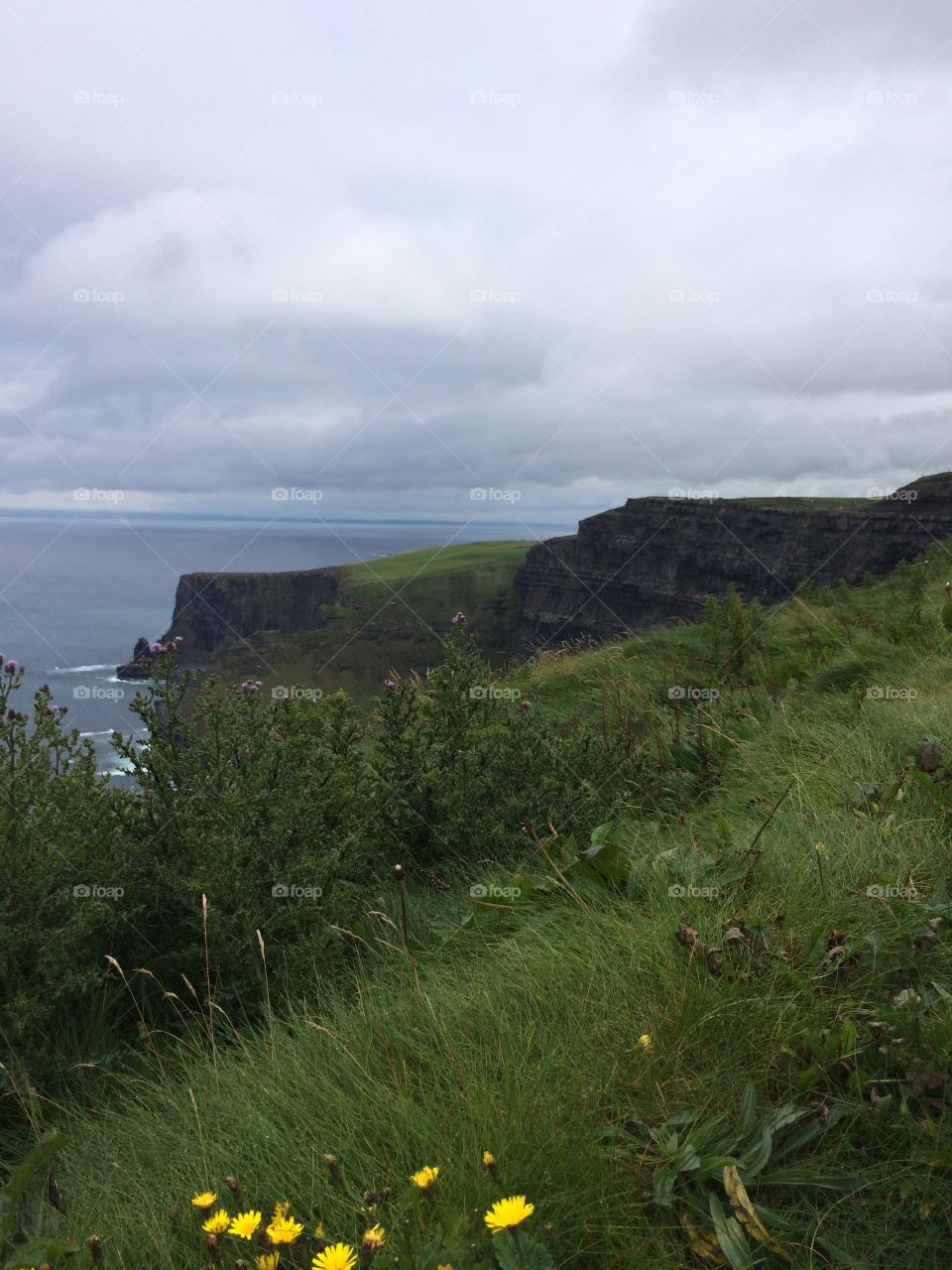 Cliffs of Moher
