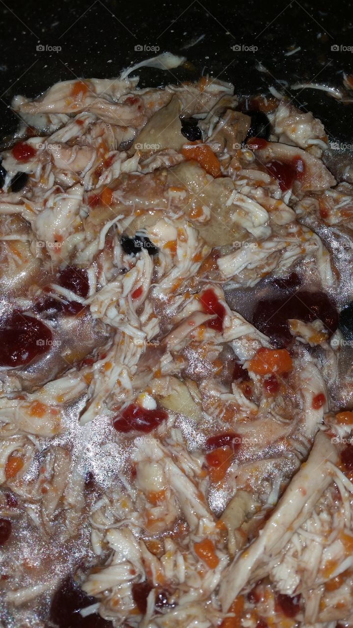 Homemade dog food with chicken, cranberries, carrots, blueberries, chicken broth