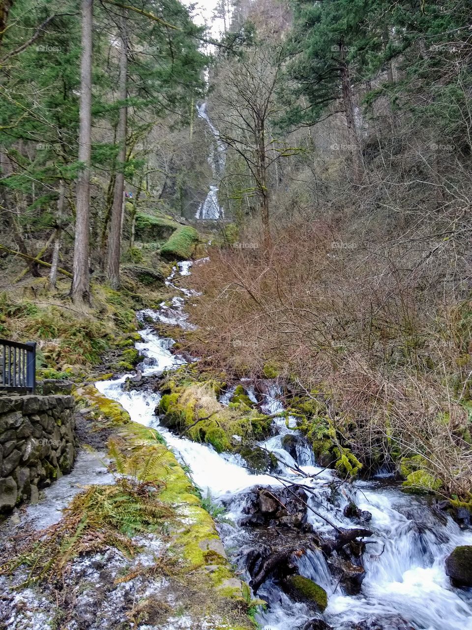 Oregon Waterfall Loaded with Color "Calming Waters"