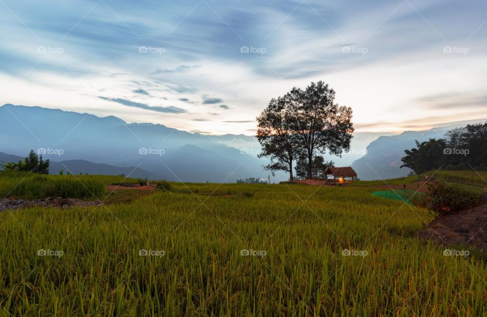 Sunset in Choan The village with dramatic sky and rice terraces,  twin trees