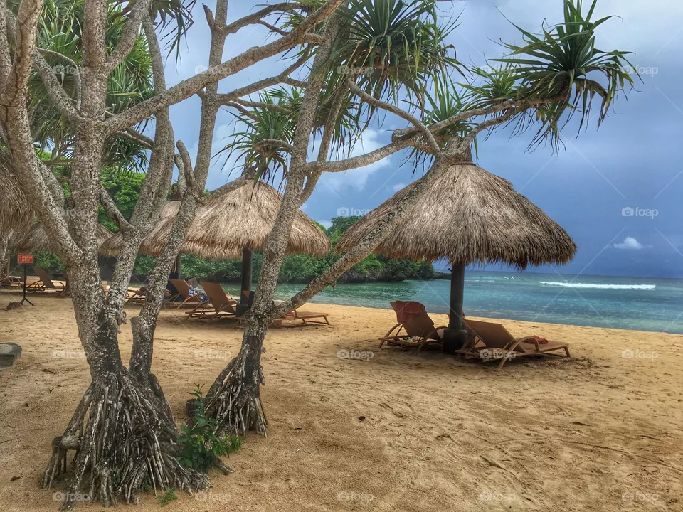 Tropical, Beach, Sand, Seashore, Vacation