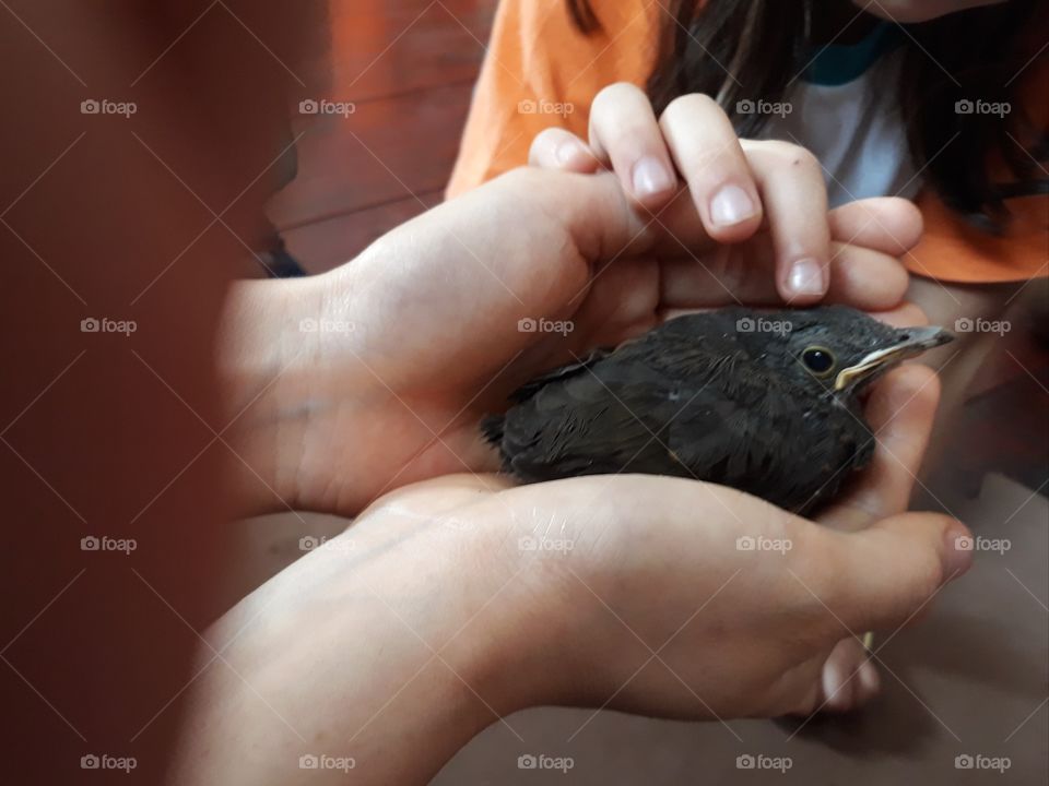 Take care the nature