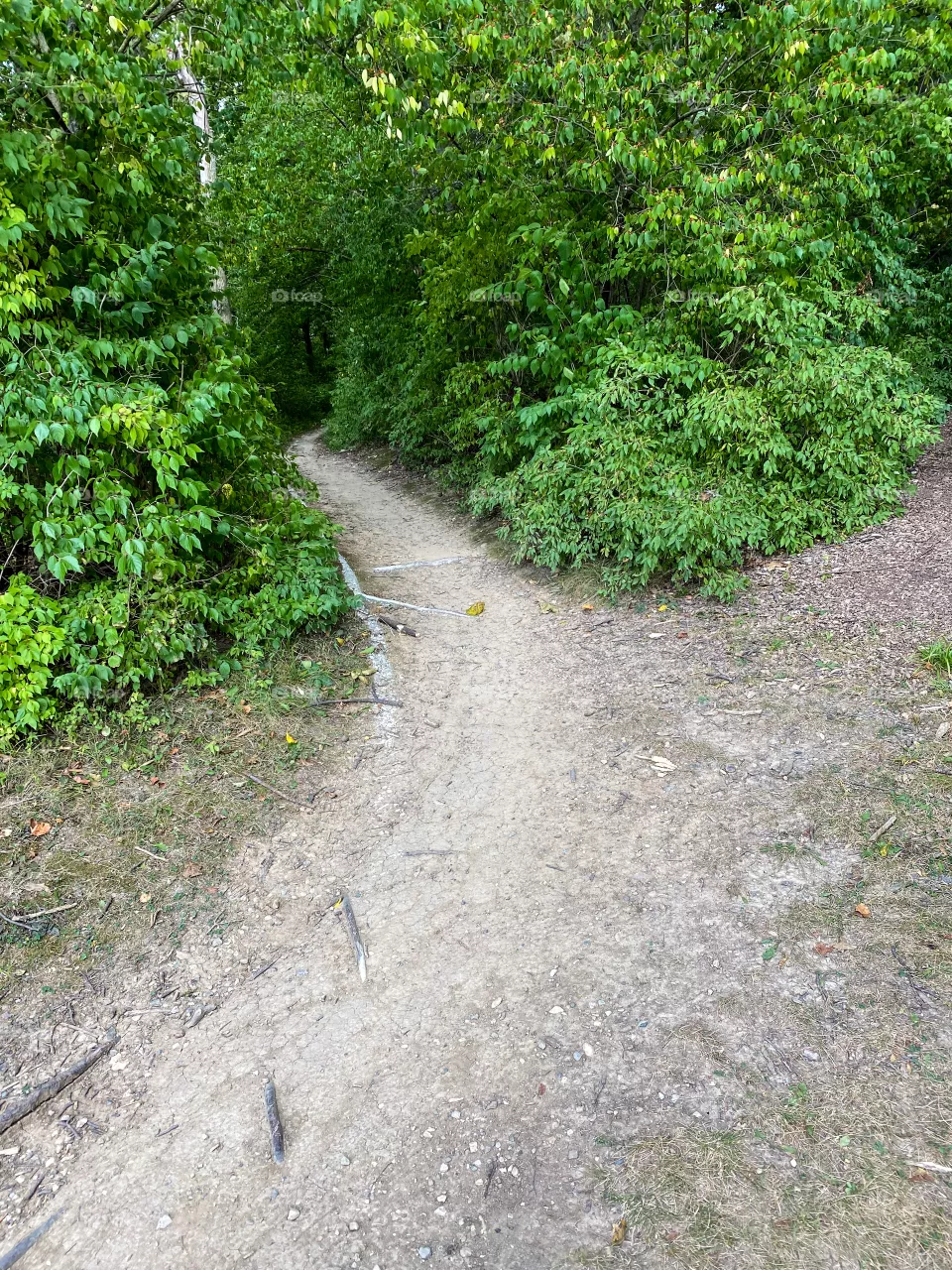 Hiking trail
