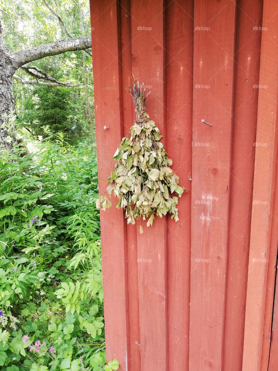 On a corner of a sauna on a red planking wall is hanging a bunch of birch branches already drying. Behind the building green trees and plants are growing.