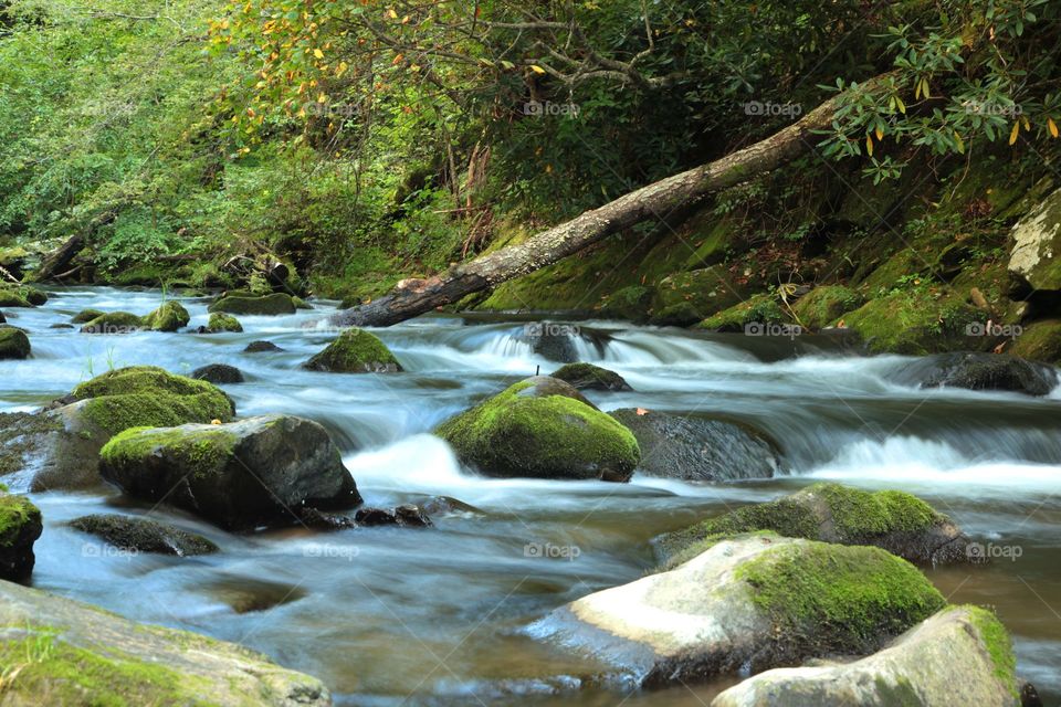 Smoky Mountain Stream